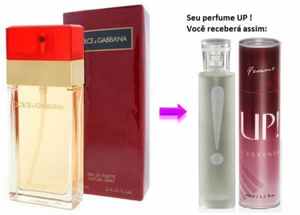 UP 16 Dolce & Gabbana